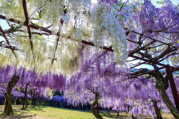 meilleure toile store banne, choix toile store banne, toile dickson store banne, quelle toile pour un store banne, meilleure toile de store, Store banne sur mesure