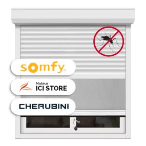 Volet roulant avec moustiquaire intégrée motorisé